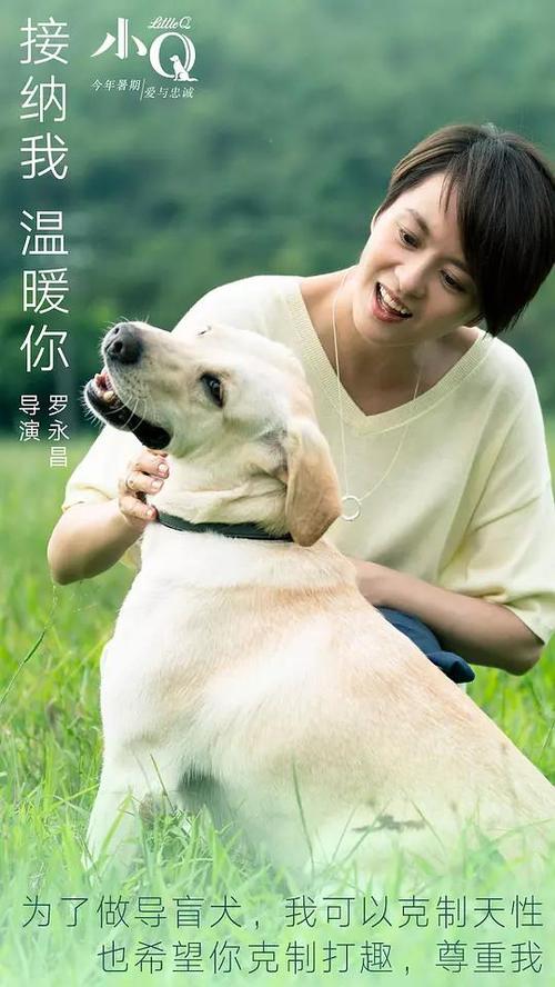 计算机应用能力考试证书作假